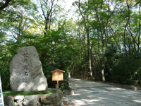 糺すの森