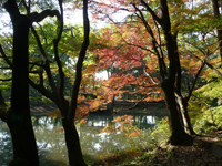 京都植物園