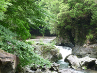 清滝清流