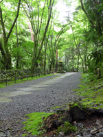 高山寺参道