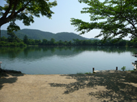 大沢池