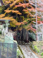 薬王峠