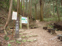 山道