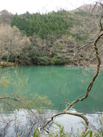 新池