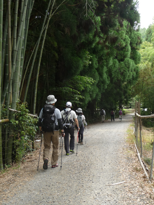 Class3 風景