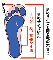 足のサイズ
